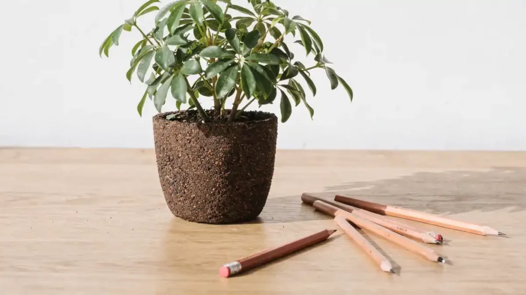 ESG 판촉물 제작 인기 아이템 TOP 9, 친환경 브랜딩을 완성하는 9가지 제안